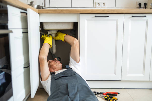 Best Garbage Disposal Repair and Installation  in Bellmead, TX